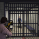 Illustration for article titled iGTA Online/i’s Fast-Paced Dispatch Missions Are A Great Additionem/em